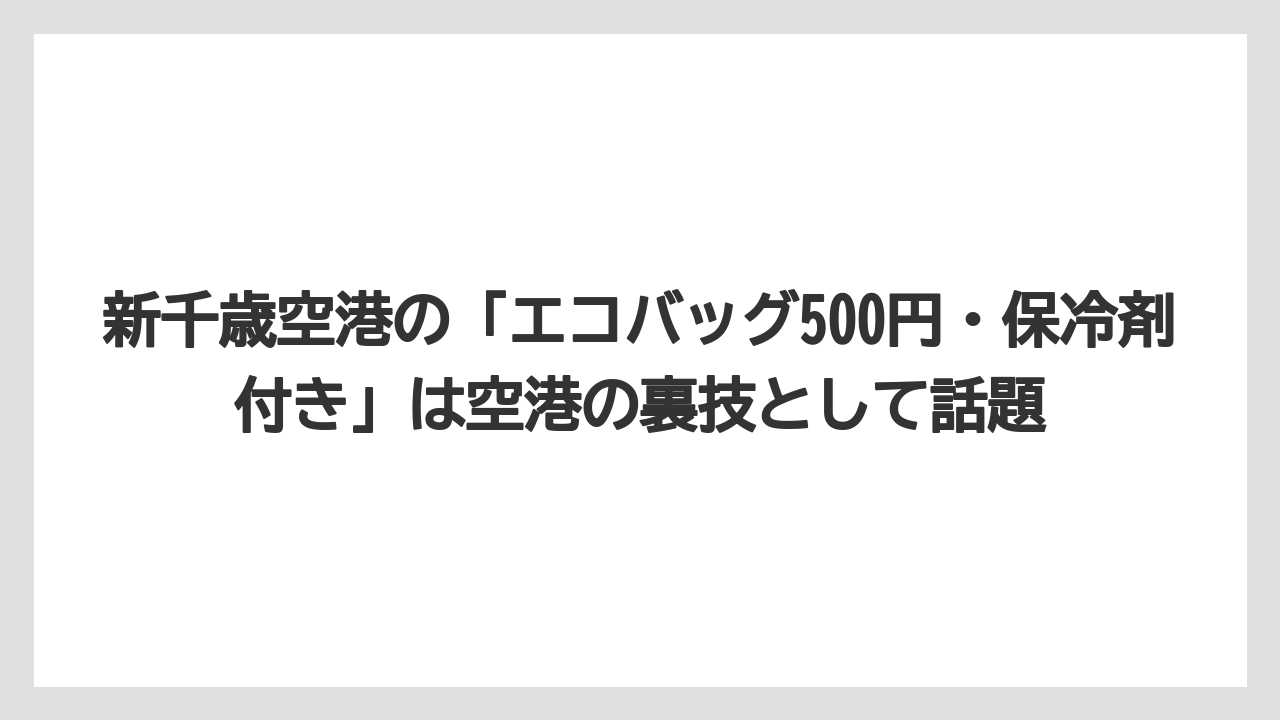 【エアライン】【フライト】【搭乗】新千歳空港の「エコバッグ500円・保冷剤付き」は空港の裏技として話題