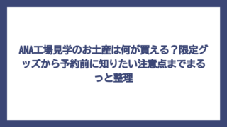 ANA工場見学のお土産は何が買える？限定グッズから予約前に知りたい注意点までまるっと整理