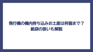 飛行機の機内持ち込みお土産は何個まで？紙袋の扱いも解説