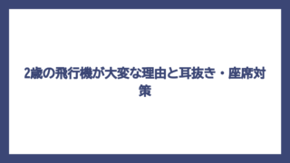 2歳の飛行機が大変な理由と耳抜き・座席対策