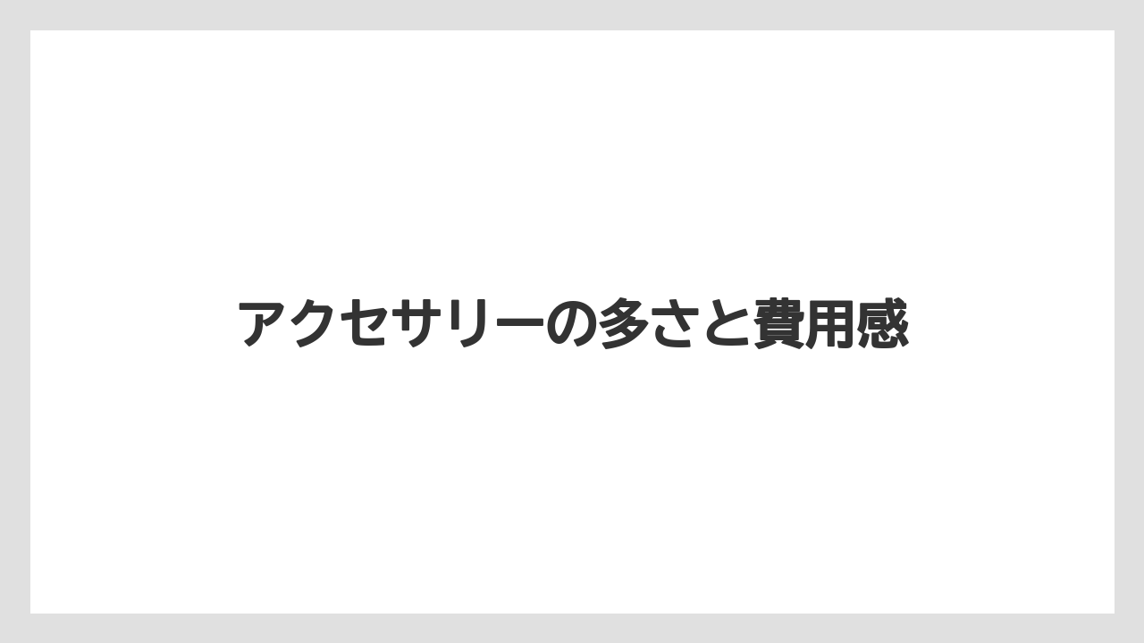 【エアライン】【フライト】【搭乗】アクセサリーの多さと費用感