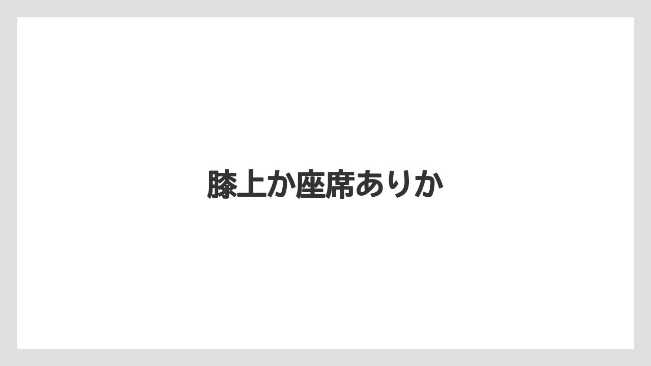 【エアライン】【フライト】【搭乗】【飛行機】膝上か座席ありか