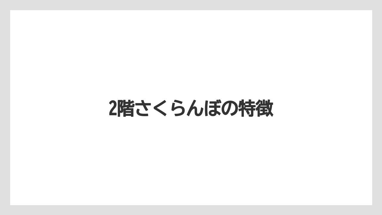 【エアライン】【搭乗】【飛行機】2階さくらんぼの特徴