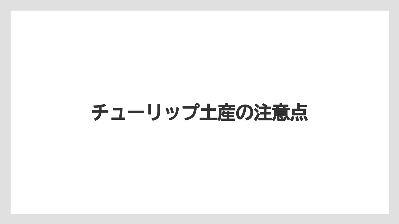 【エアライン】【フライト】【搭乗】チューリップ土産の注意点