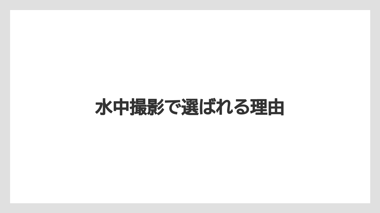【エアライン】【フライト】【搭乗】水中撮影で選ばれる理由